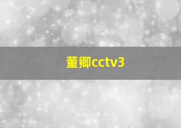 董卿cctv3