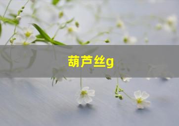 葫芦丝g