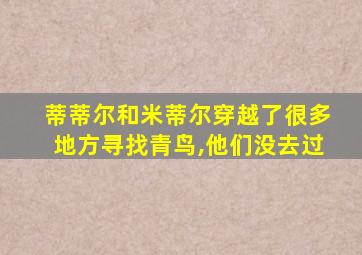 蒂蒂尔和米蒂尔穿越了很多地方寻找青鸟,他们没去过