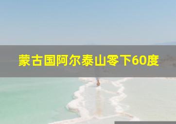 蒙古国阿尔泰山零下60度