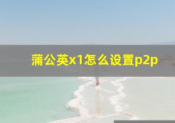 蒲公英x1怎么设置p2p