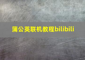 蒲公英联机教程bilibili