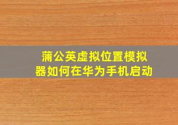 蒲公英虚拟位置模拟器如何在华为手机启动