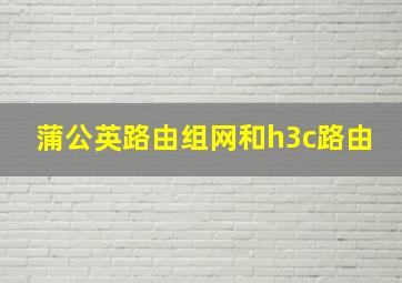 蒲公英路由组网和h3c路由