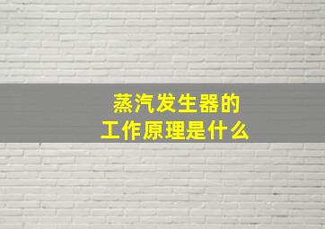 蒸汽发生器的工作原理是什么