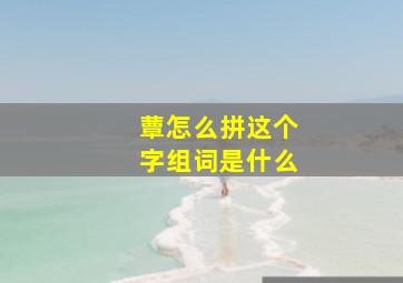 蕈怎么拼这个字组词是什么