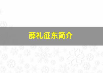 薛礼征东简介