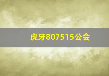 虎牙807515公会