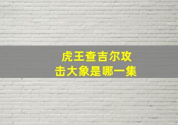 虎王查吉尔攻击大象是哪一集