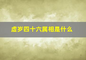 虚岁四十六属相是什么