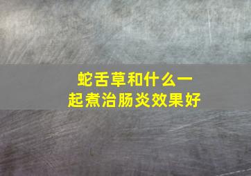 蛇舌草和什么一起煮治肠炎效果好