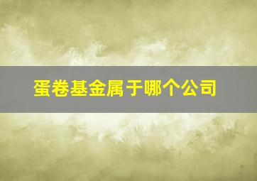 蛋卷基金属于哪个公司