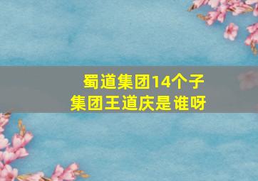 蜀道集团14个子集团王道庆是谁呀