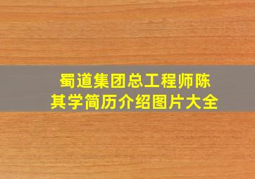 蜀道集团总工程师陈其学简历介绍图片大全