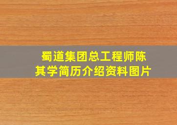 蜀道集团总工程师陈其学简历介绍资料图片