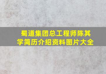 蜀道集团总工程师陈其学简历介绍资料图片大全