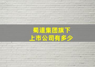 蜀道集团旗下上市公司有多少