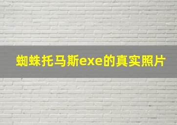 蜘蛛托马斯exe的真实照片