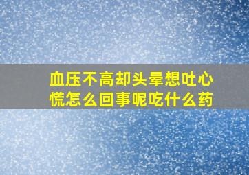 血压不高却头晕想吐心慌怎么回事呢吃什么药