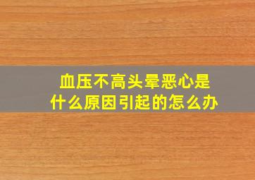 血压不高头晕恶心是什么原因引起的怎么办