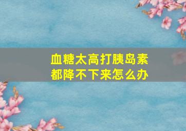 血糖太高打胰岛素都降不下来怎么办