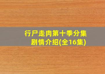 行尸走肉第十季分集剧情介绍(全16集)