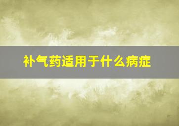 补气药适用于什么病症