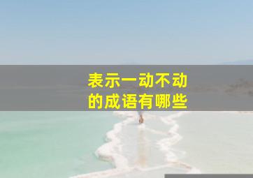 表示一动不动的成语有哪些