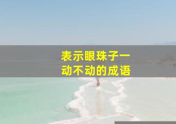 表示眼珠子一动不动的成语