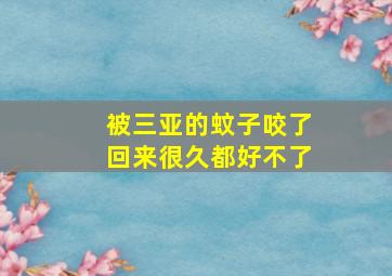 被三亚的蚊子咬了回来很久都好不了