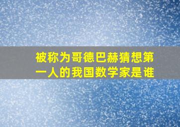 被称为哥德巴赫猜想第一人的我国数学家是谁