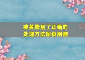 被黄蜂蛰了正确的处理方法图食用醋