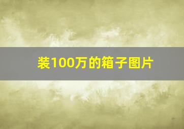 装100万的箱子图片