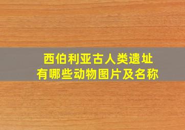 西伯利亚古人类遗址有哪些动物图片及名称