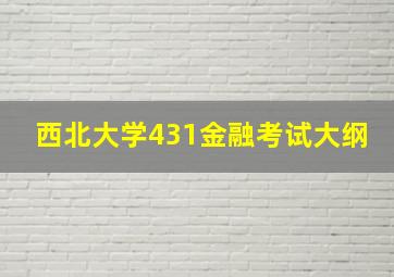 西北大学431金融考试大纲