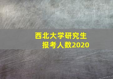 西北大学研究生报考人数2020