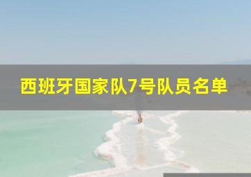 西班牙国家队7号队员名单