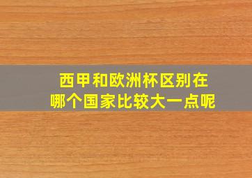 西甲和欧洲杯区别在哪个国家比较大一点呢