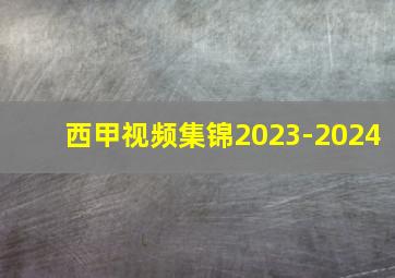 西甲视频集锦2023-2024