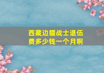 西藏边疆战士退伍费多少钱一个月啊