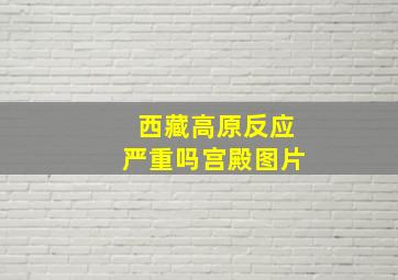 西藏高原反应严重吗宫殿图片