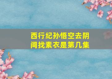 西行纪孙悟空去阴间找素衣是第几集