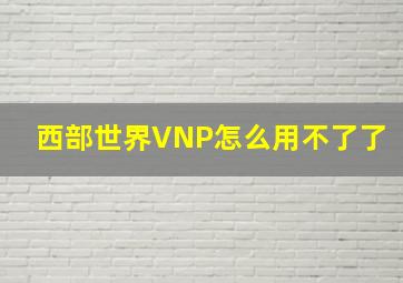 西部世界VNP怎么用不了了