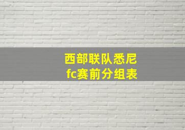 西部联队悉尼fc赛前分组表