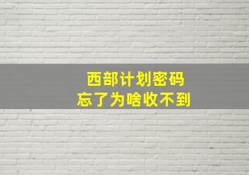 西部计划密码忘了为啥收不到