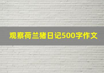 观察荷兰猪日记500字作文