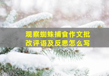 观察蜘蛛捕食作文批改评语及反思怎么写