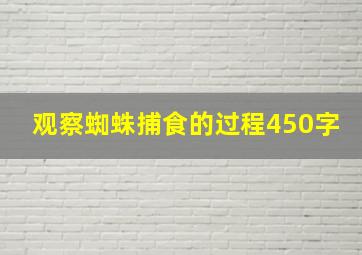 观察蜘蛛捕食的过程450字