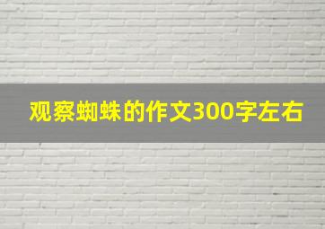 观察蜘蛛的作文300字左右