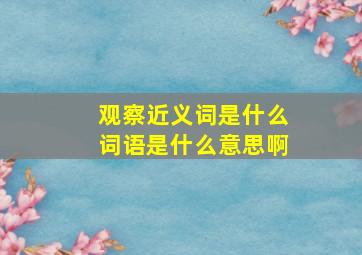 观察近义词是什么词语是什么意思啊